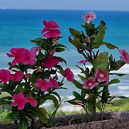 Seafront *